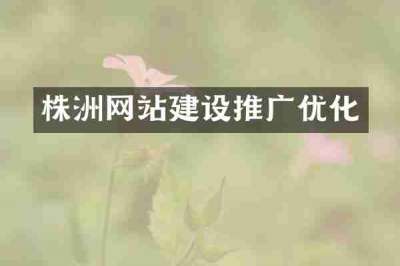 株洲网站建设推广优化