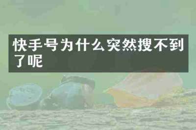快手号为什么突然搜不到了呢
