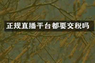 正规直播平台都要交税吗