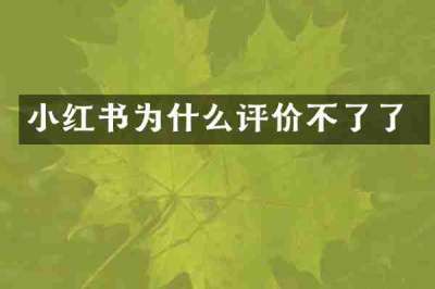 小红书为什么评价不了了