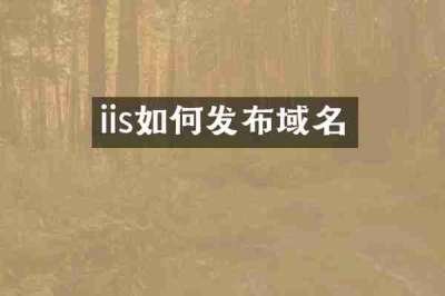 iis如何发布域名