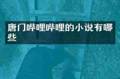 唐门哔哩哔哩的小说有哪些
