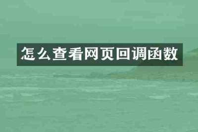 怎么查看网页回调函数