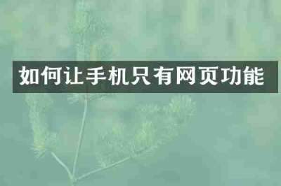 如何让手机只有网页功能