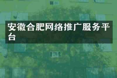 安徽合肥网络推广服务平台