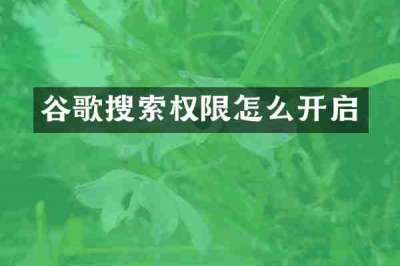 谷歌搜索权限怎么开启
