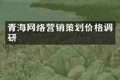 青海网络营销策划价格调研