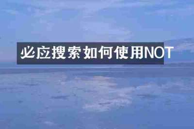必应搜索如何使用NOT