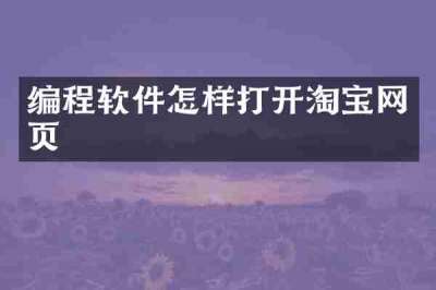 编程软件怎样打开淘宝网页