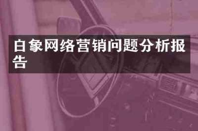白象网络营销问题分析报告