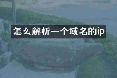 怎么解析一个域名的ip