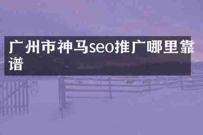 广州市神马seo推广哪里靠谱