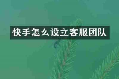 快手怎么设立客服团队
