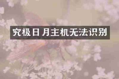 究极日月主机无法识别