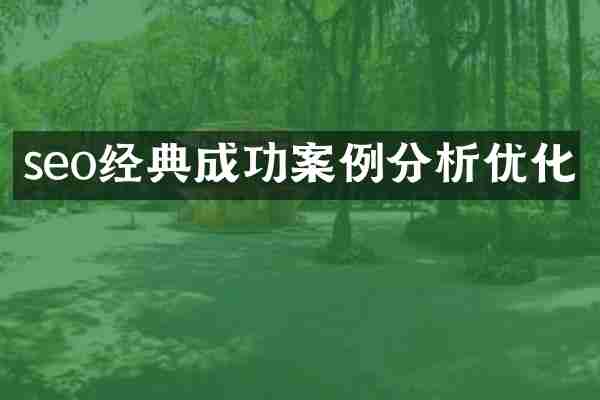 seo经典成功案例分析优化