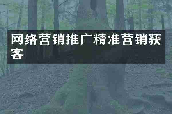 网络营销推广精准营销获客