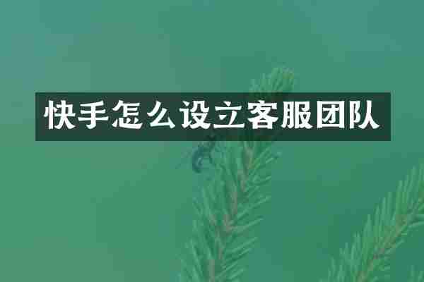快手怎么设立客服团队