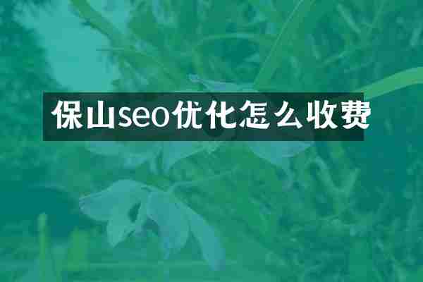 保山seo优化怎么收费