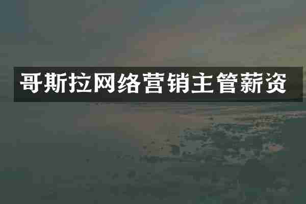 哥斯拉网络营销主管薪资