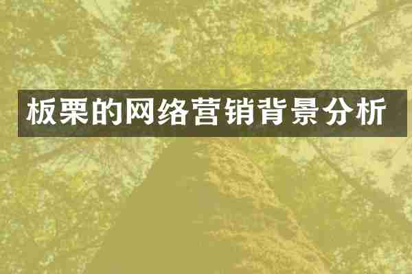 板栗的网络营销背景分析