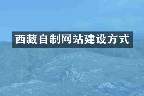 西藏自制网站建设方式