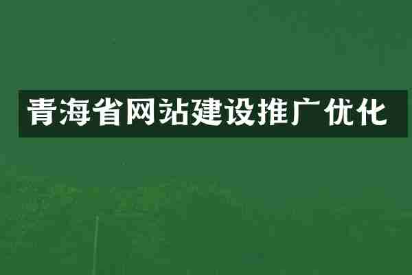 青海省网站建设推广优化