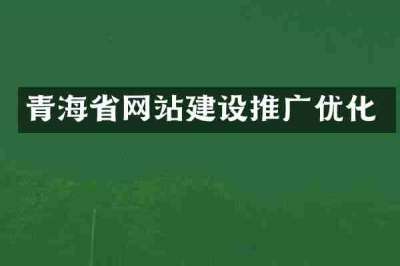 青海省网站建设推广优化