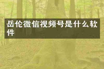 岳伦微信视频号是什么软件