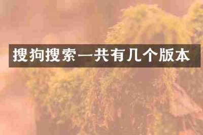 搜狗搜索一共有几个版本