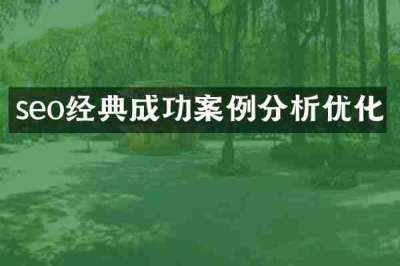 seo经典成功案例分析优化