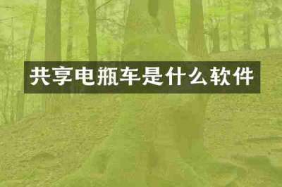 共享电瓶车是什么软件