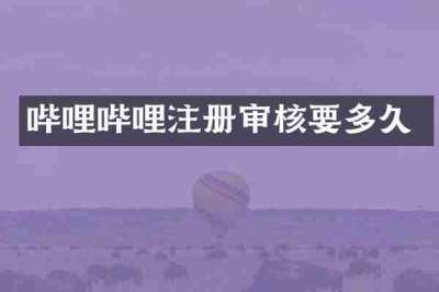 哔哩哔哩注册审核要多久