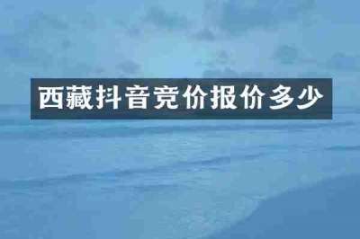西藏抖音竞价报价多少