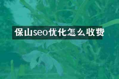 保山seo优化怎么收费