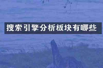 搜索引擎分析板块有哪些