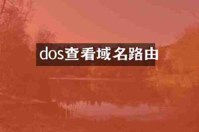 dos查看域名路由