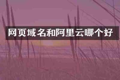 网页域名和阿里云哪个好