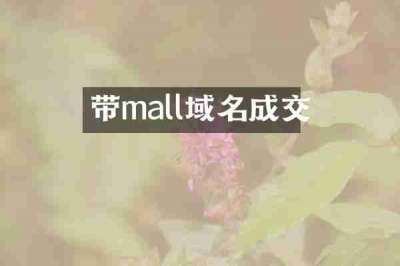 带mall域名成交