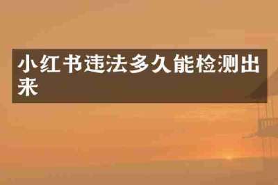 小红书违法多久能检测出来