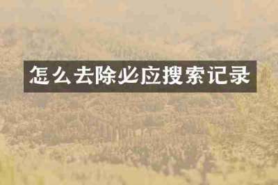 怎么去除必应搜索记录