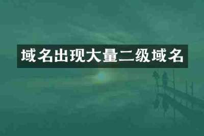 域名出现大量二级域名