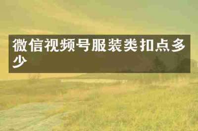 微信视频号服装类扣点多少