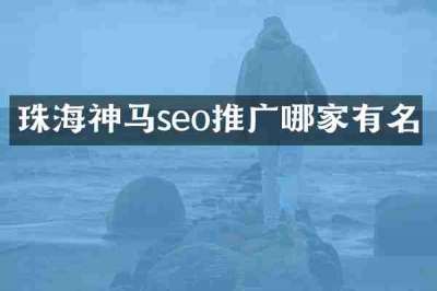 珠海神马seo推广哪家有名
