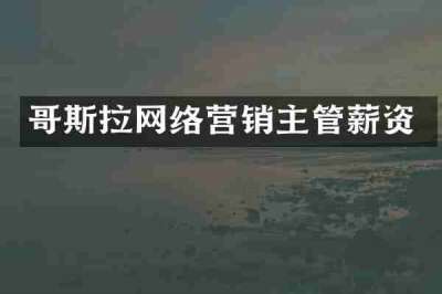 哥斯拉网络营销主管薪资