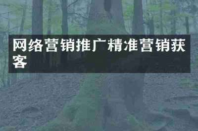 网络营销推广精准营销获客
