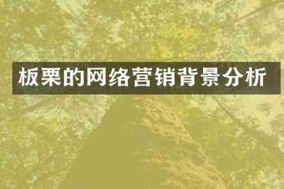 板栗的网络营销背景分析