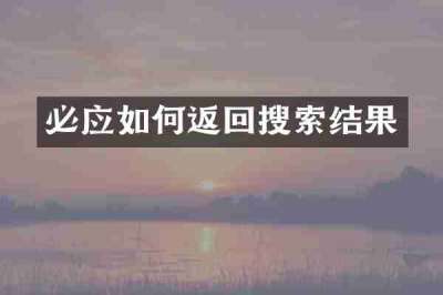 必应如何返回搜索结果