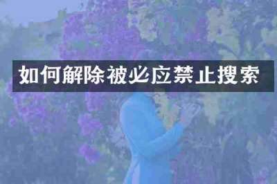如何解除被必应禁止搜索