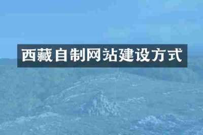 西藏自制网站建设方式