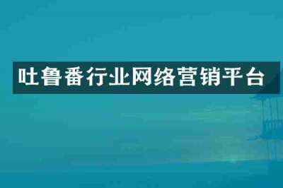 吐鲁番行业网络营销平台